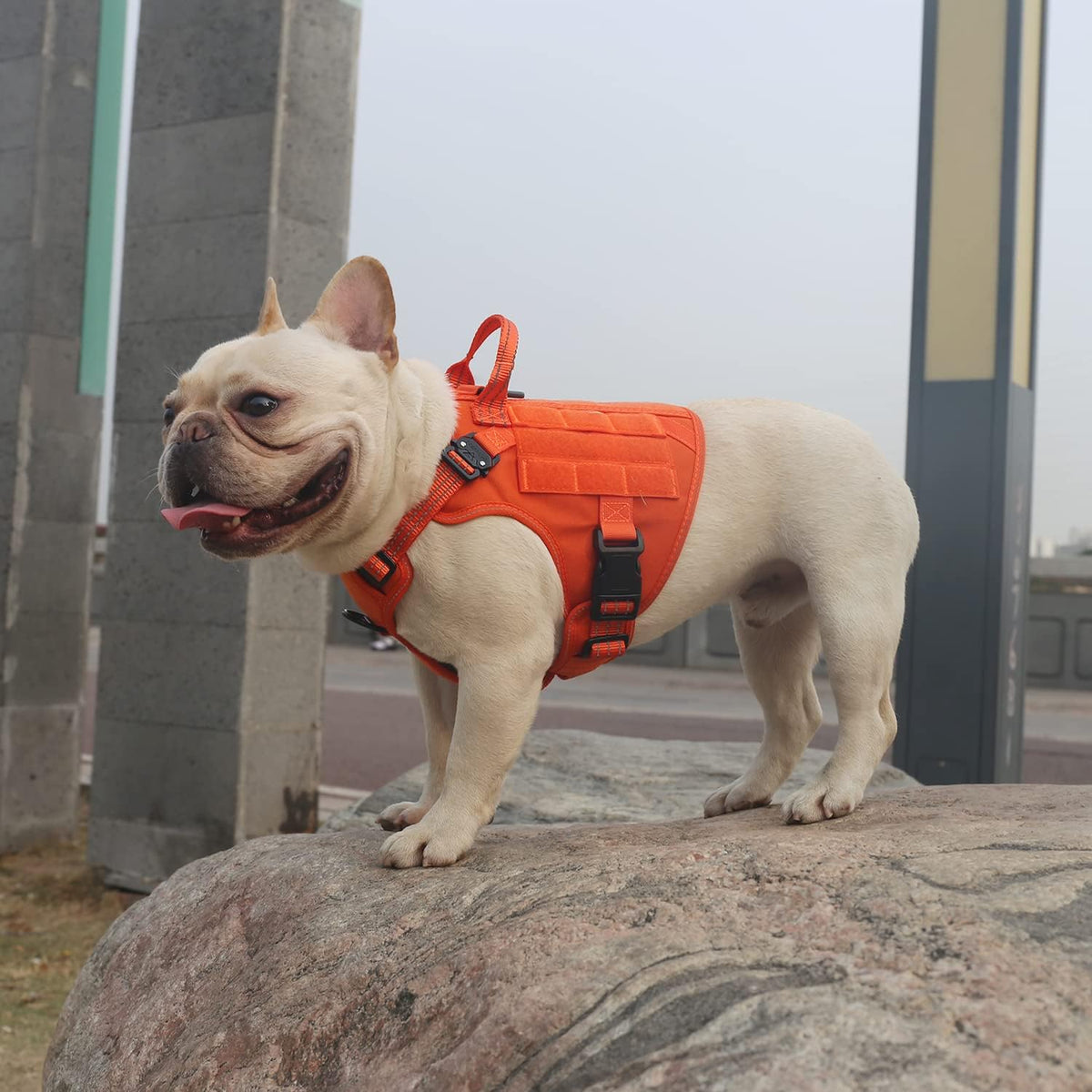 ICEFANG Tactical Dog Harness for Large Dogs,Reflective No Pull Dog Vest