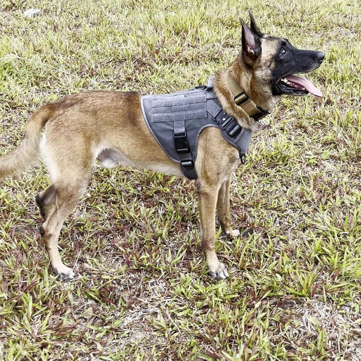 ICEFANG Tactical Dog Harness for Large Dogs,Reflective No Pull Dog Vest