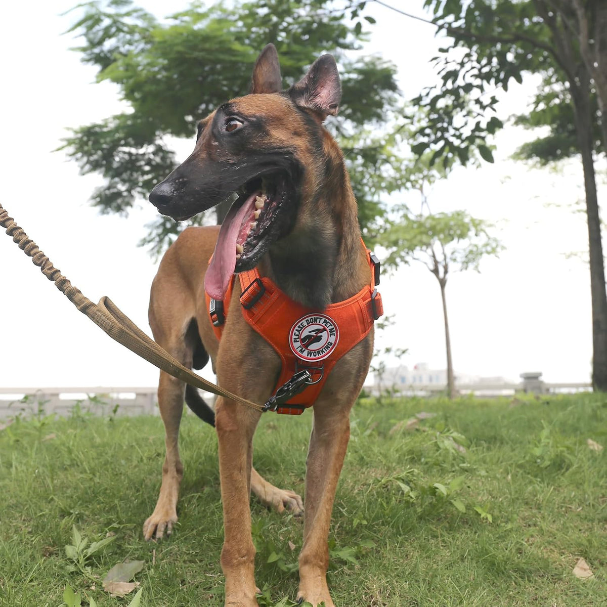 ICEFANG Tactical Dog Harness for Large Dogs,Reflective No Pull Dog Vest