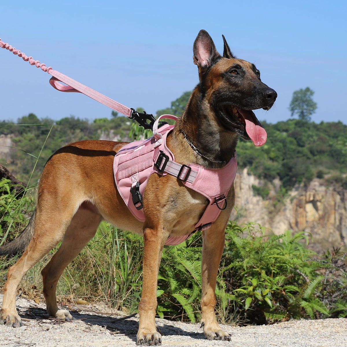 ICEFANG Tactical Dog Harness for Large Dogs,Reflective No Pull Dog Vest
