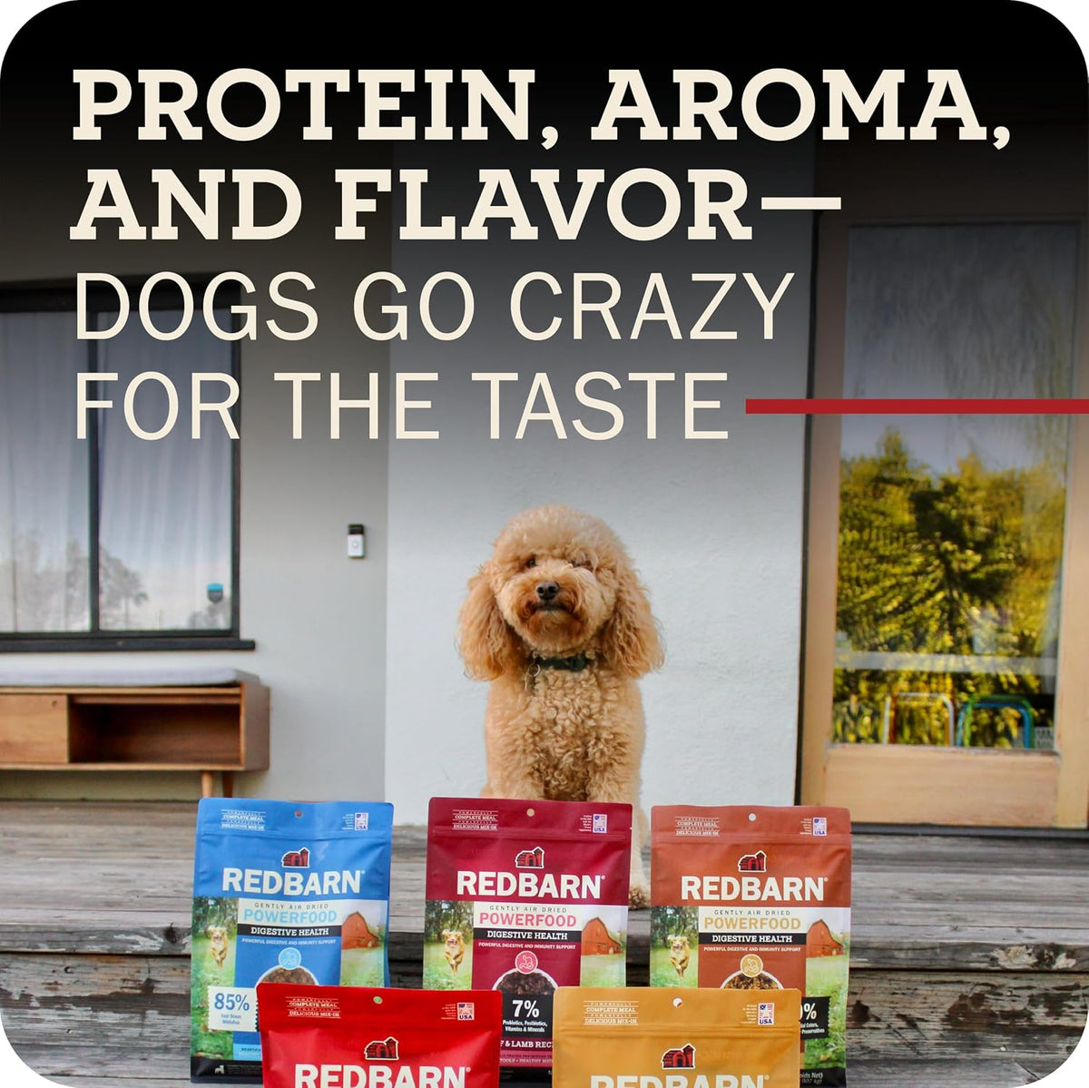 Air Dried Powerfood High Protein Beef Recipe, Made in USA, 2 lb