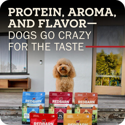 Air Dried Powerfood High Protein Beef Recipe, Made in USA, 2 lb