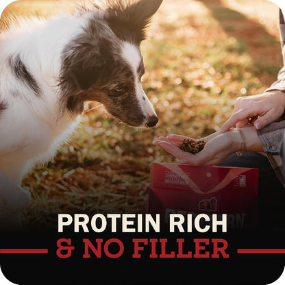 Air Dried Powerfood High Protein Beef Recipe, Made in USA, 2 lb