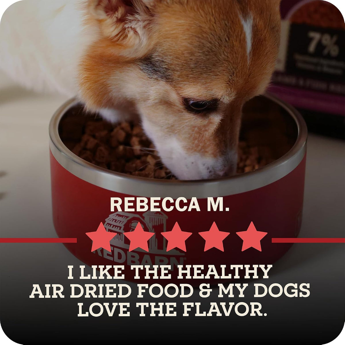 Air Dried Powerfood High Protein Beef Recipe, Made in USA, 2 lb