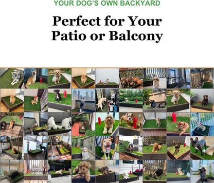 Porch Potty Standard Dog Grass Pad - Indoor Dog Potty with Artificial Grass & Self-Draining Tray - Reusable Dog Potty for Apartments & Balconies