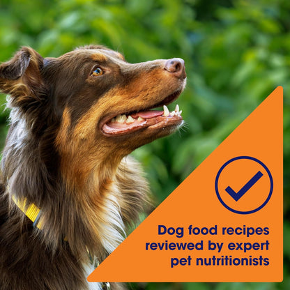 Grain Free Chicken Dry Dog Food, 4 lb. Bag