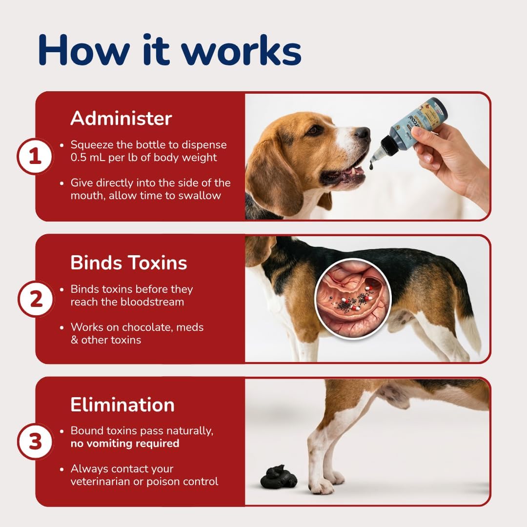 Pet Vet Activated Charcoal for Dogs & Cats Gel, Beef Flavor, Made in USA, 60ml Bottle