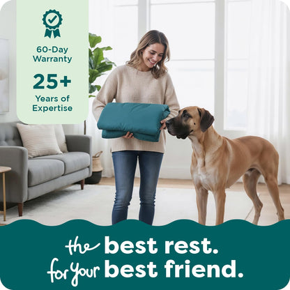 Replacement Dog Bed Cover Water-Resistant Indoor/Outdoor Logo Print Oxford Polycanvas Mattress, Washable - Deep Lagoon, Medium