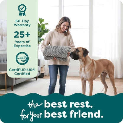 Replacement Dog Bed Cover Water-Resistant Indoor/Outdoor Logo Print Oxford Polycanvas Mattress, Washable - Deep Lagoon, Medium
