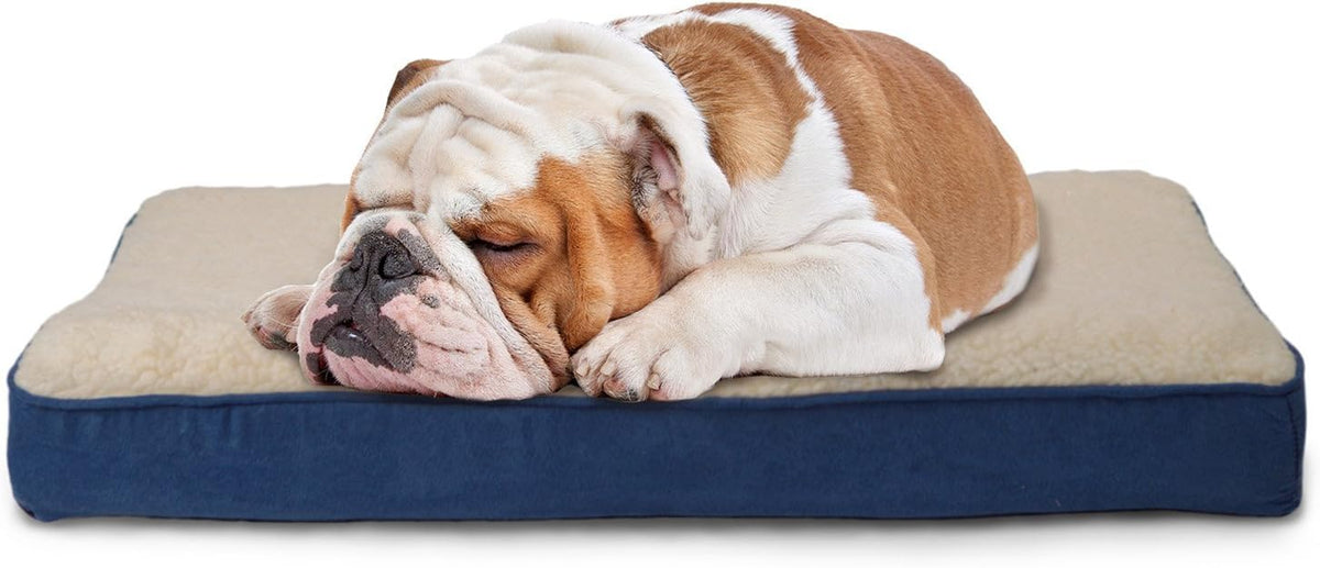 Replacement Dog Bed Cover Water-Resistant Indoor/Outdoor Logo Print Oxford Polycanvas Mattress, Washable - Deep Lagoon, Medium