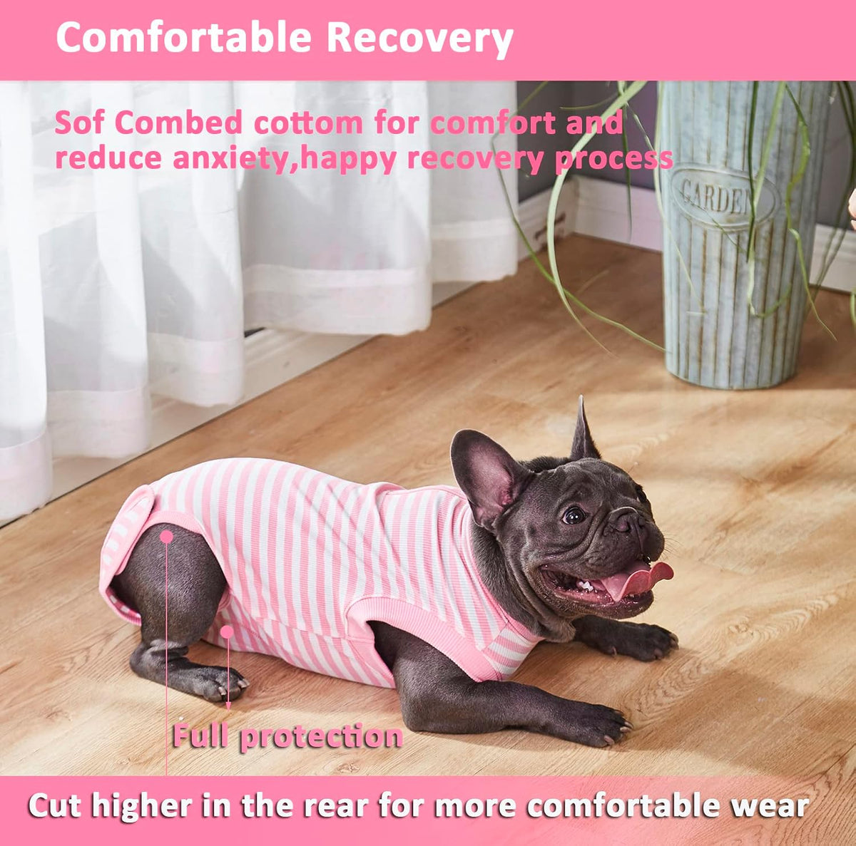 Recovery Suit for Female Dogs, Dog Cone Alternative After Spay
