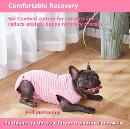 Recovery Suit for Female Dogs, Dog Cone Alternative After Spay