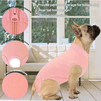 Recovery Suit for Female Dogs, Dog Cone Alternative After Spay