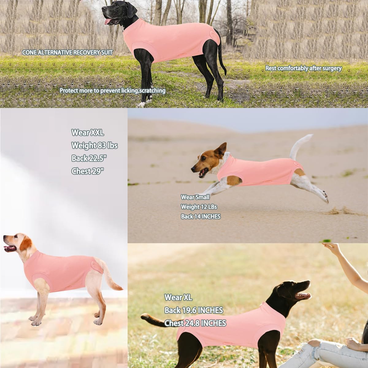Recovery Suit for Female Dogs, Dog Cone Alternative After Spay