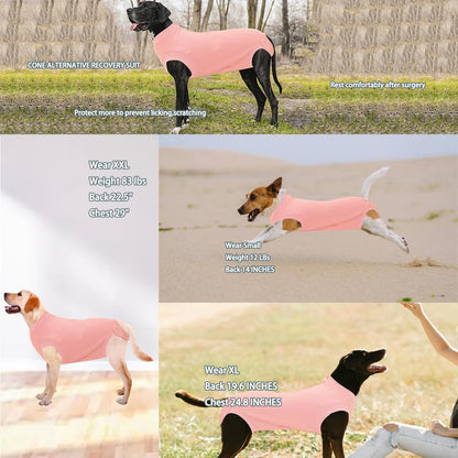 Recovery Suit for Female Dogs, Dog Cone Alternative After Spay