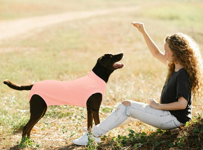 Recovery Suit for Female Dogs, Dog Cone Alternative After Spay