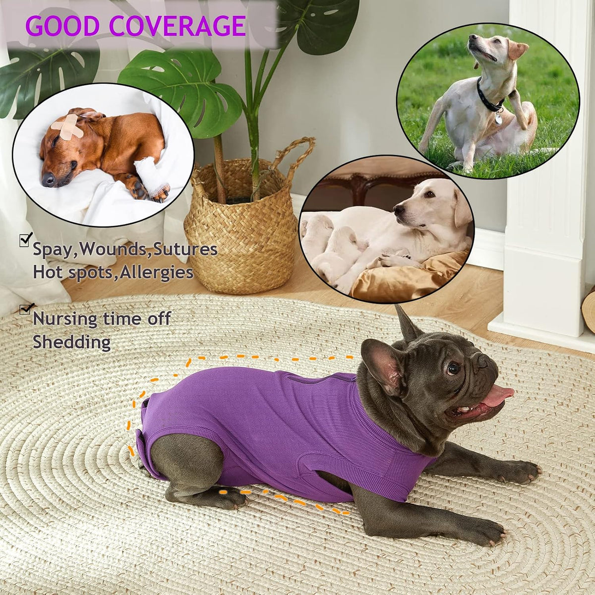 Recovery Suit for Female Dogs, Dog Cone Alternative After Spay