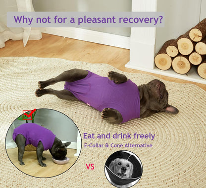 Recovery Suit for Female Dogs, Dog Cone Alternative After Spay