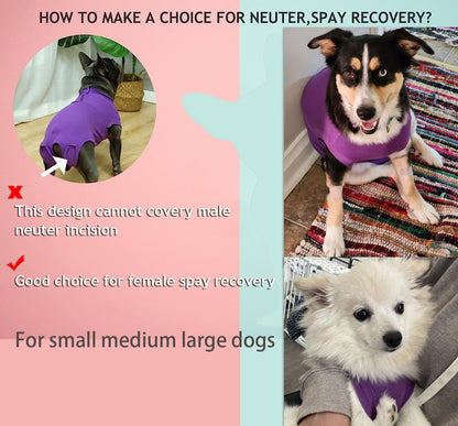 Recovery Suit for Female Dogs, Dog Cone Alternative After Spay