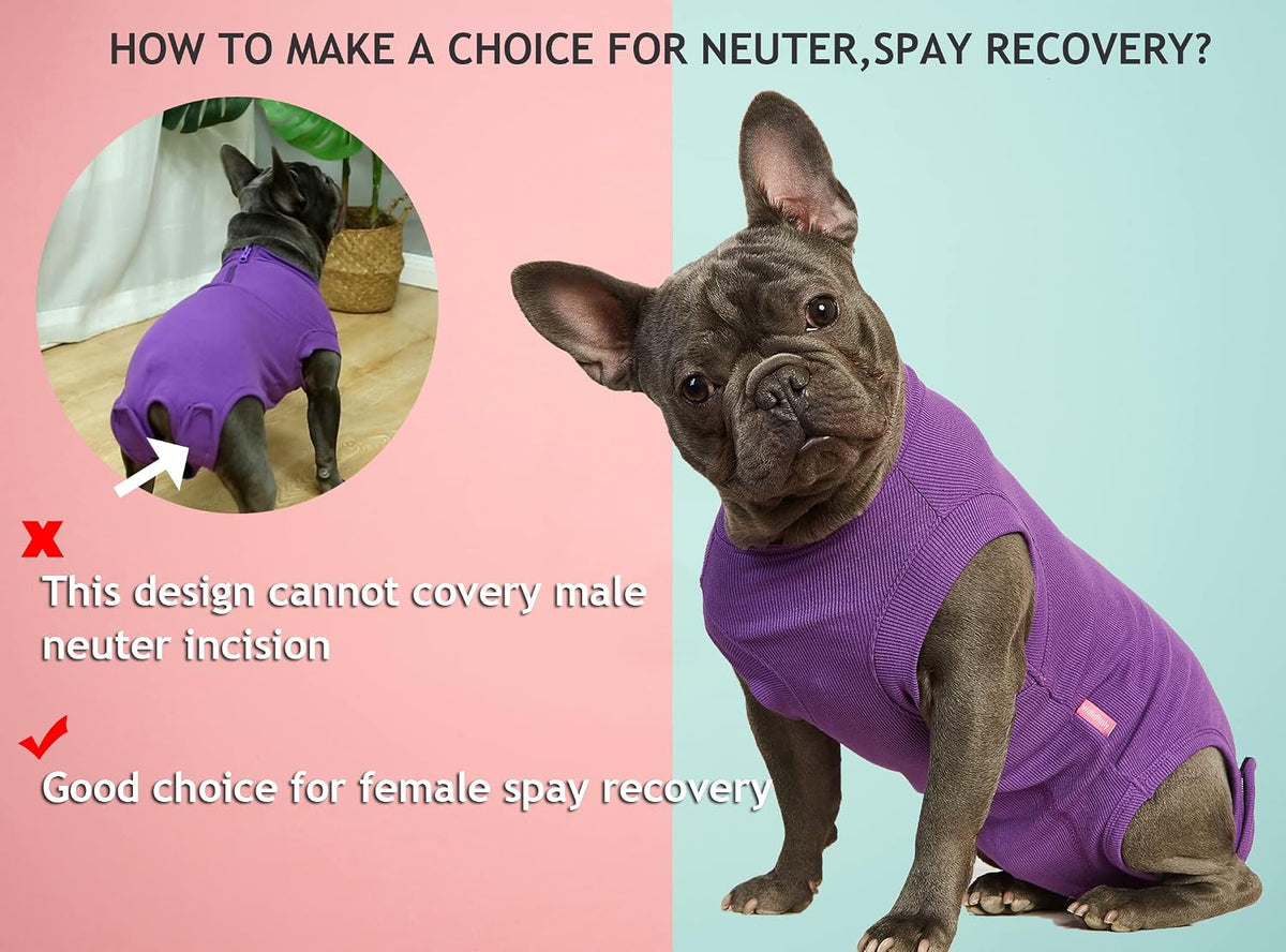 Recovery Suit for Female Dogs, Dog Cone Alternative After Spay