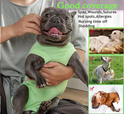 Recovery Suit for Female Dogs, Dog Cone Alternative After Spay