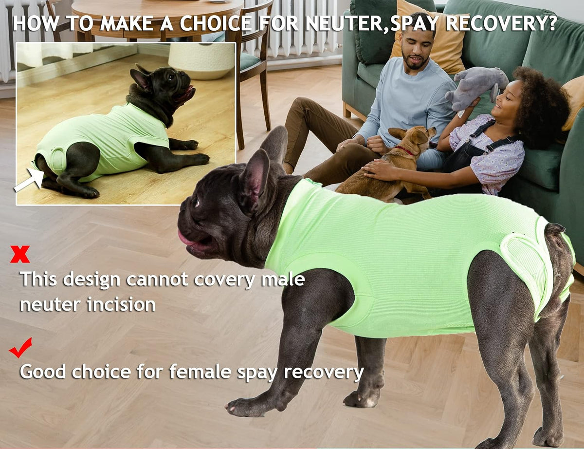 Recovery Suit for Female Dogs, Dog Cone Alternative After Spay