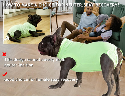 Recovery Suit for Female Dogs, Dog Cone Alternative After Spay
