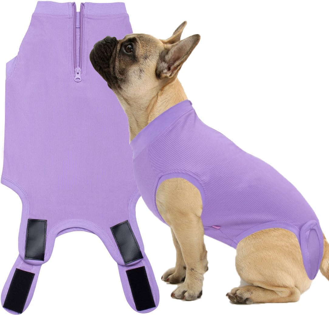 Recovery Suit for Female Dogs, Dog Cone Alternative After Spay
