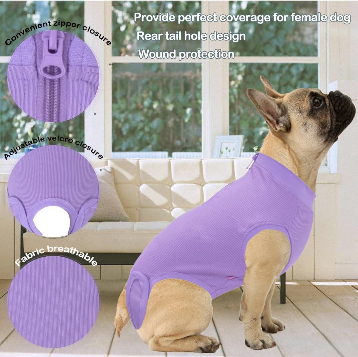 Recovery Suit for Female Dogs, Dog Cone Alternative After Spay