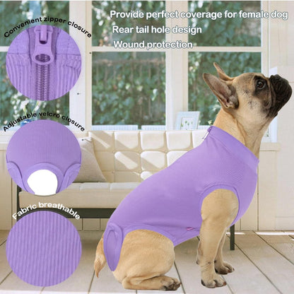 Recovery Suit for Female Dogs, Dog Cone Alternative After Spay