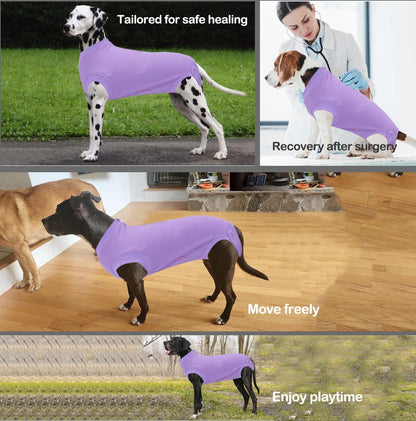 Recovery Suit for Female Dogs, Dog Cone Alternative After Spay
