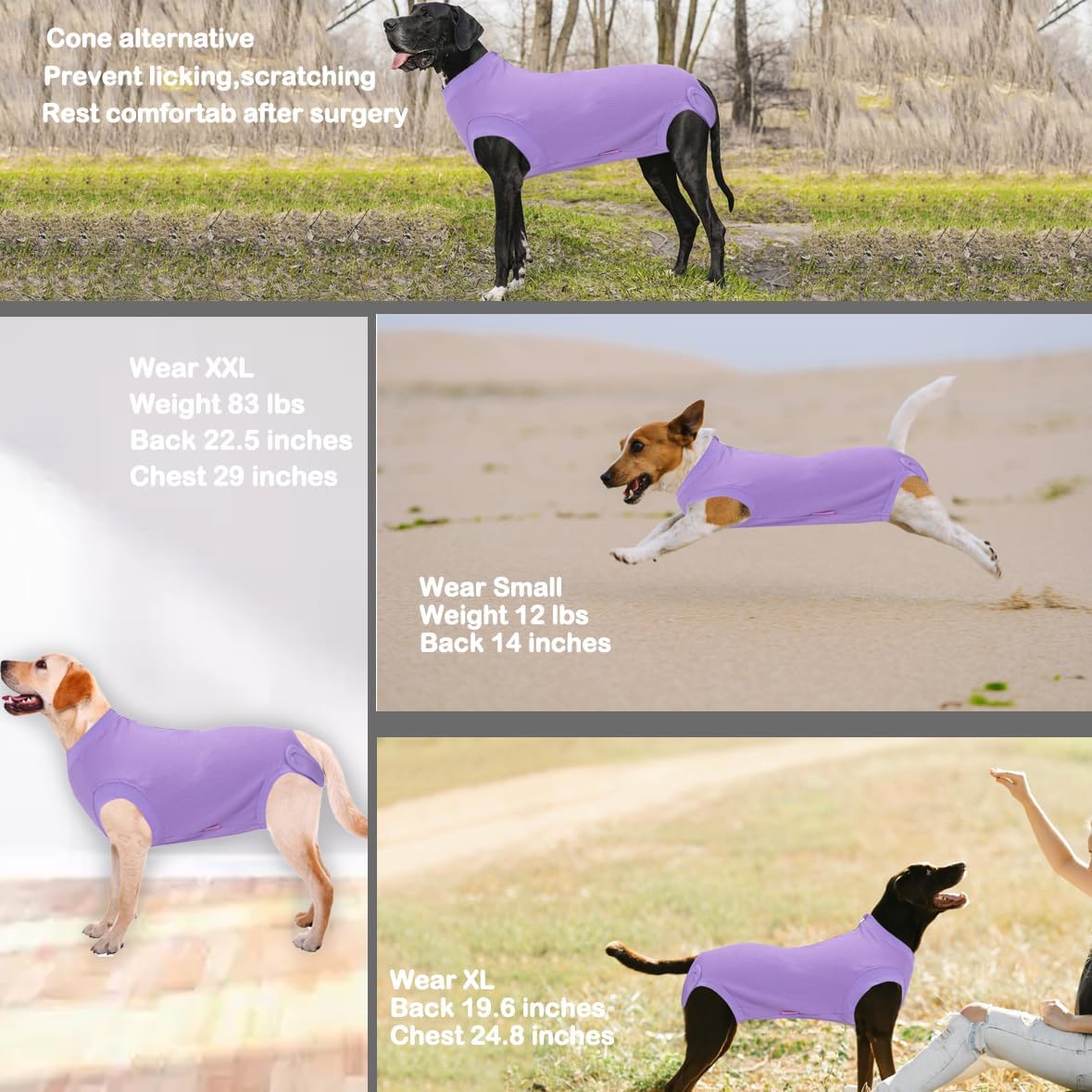 Recovery Suit for Female Dogs, Dog Cone Alternative After Spay