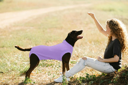 Recovery Suit for Female Dogs, Dog Cone Alternative After Spay