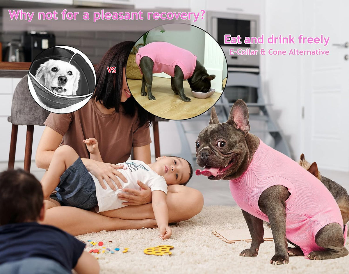 Recovery Suit for Female Dogs, Dog Cone Alternative After Spay