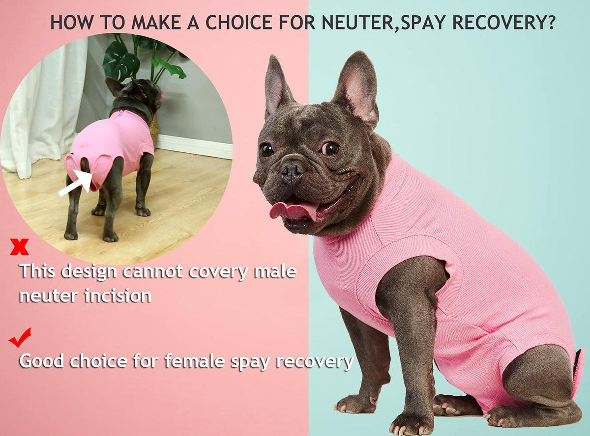 Recovery Suit for Female Dogs, Dog Cone Alternative After Spay