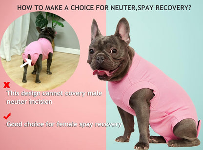 Recovery Suit for Female Dogs, Dog Cone Alternative After Spay