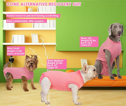 Recovery Suit for Female Dogs, Dog Cone Alternative After Spay