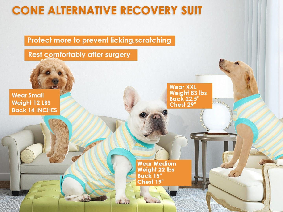 Recovery Suit for Female Dogs, Dog Cone Alternative After Spay