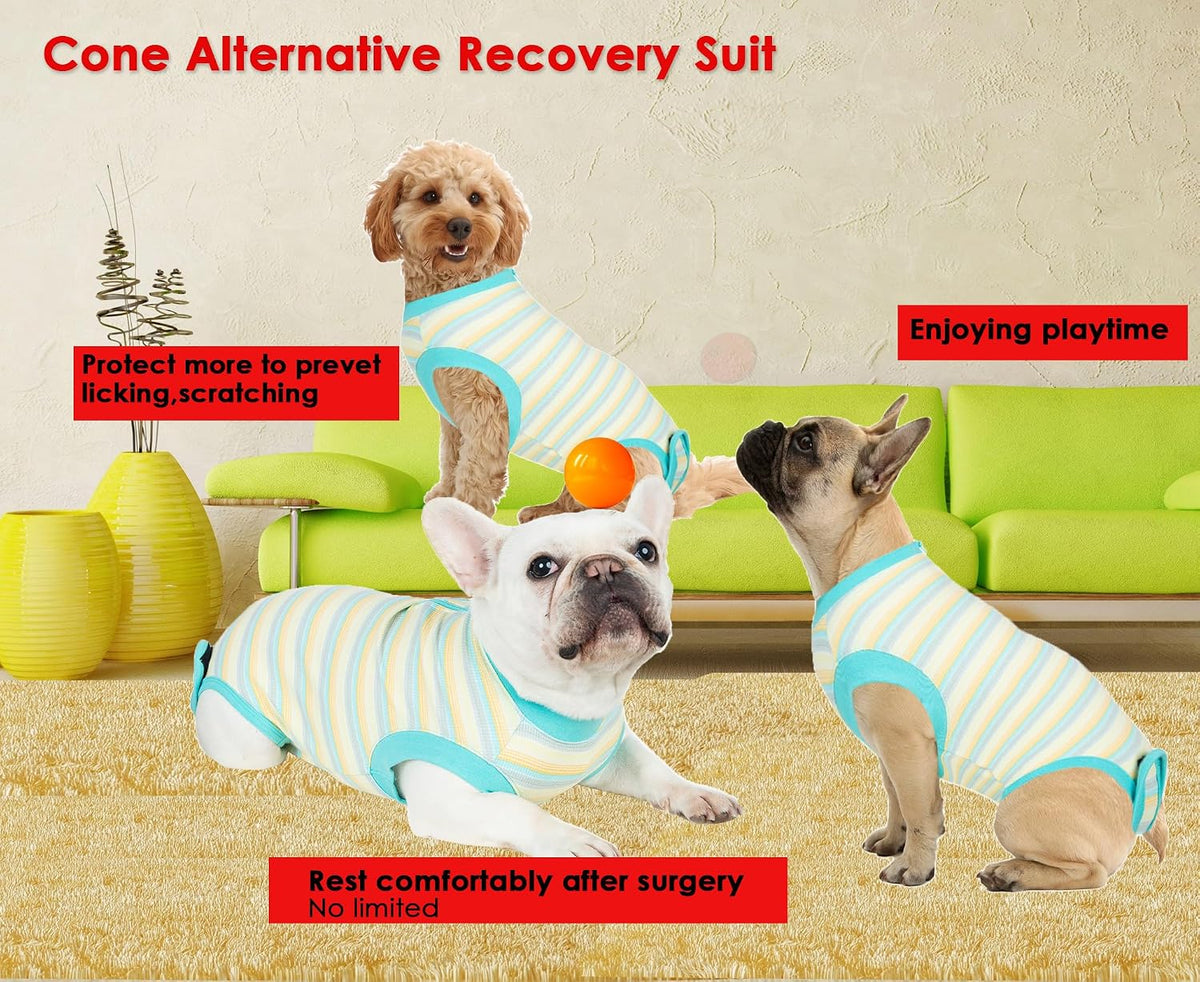 Recovery Suit for Female Dogs, Dog Cone Alternative After Spay