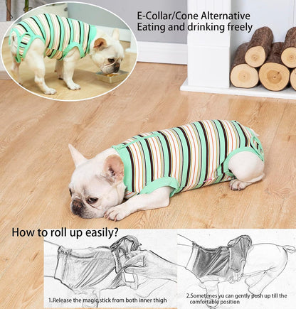 Recovery Suit for Female Dogs, Dog Cone Alternative After Spay