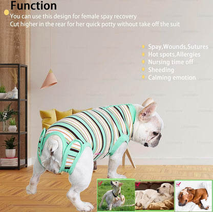 Recovery Suit for Female Dogs, Dog Cone Alternative After Spay