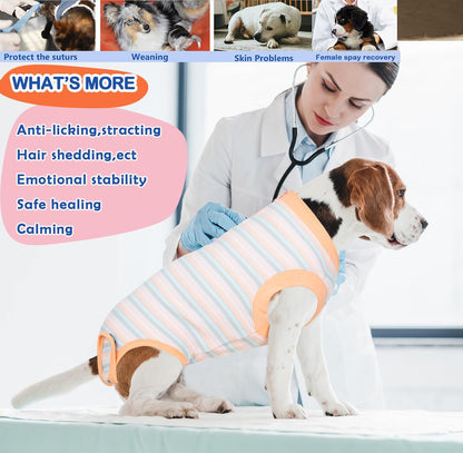 Recovery Suit for Female Dogs, Dog Cone Alternative After Spay