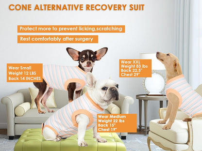 Recovery Suit for Female Dogs, Dog Cone Alternative After Spay