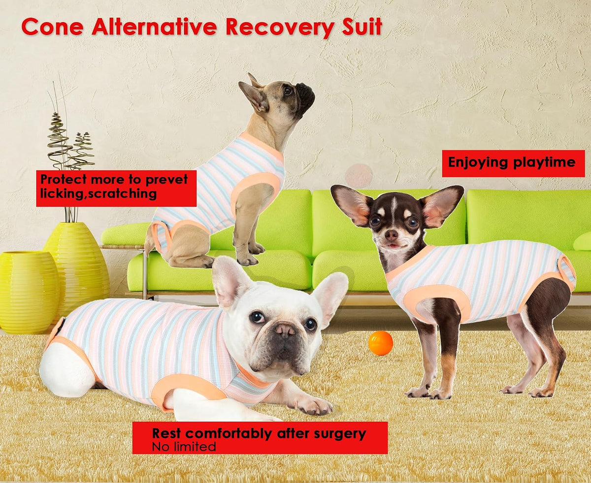 Recovery Suit for Female Dogs, Dog Cone Alternative After Spay