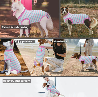 Recovery Suit for Female Dogs, Dog Cone Alternative After Spay