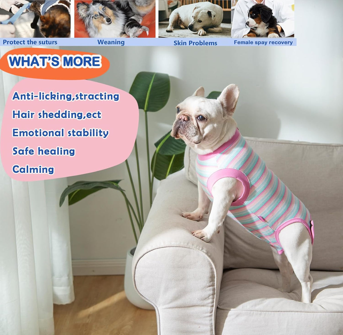 Recovery Suit for Female Dogs, Dog Cone Alternative After Spay
