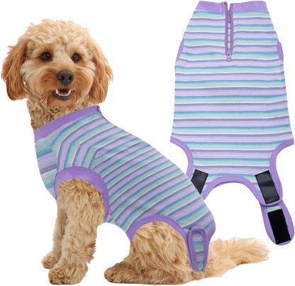 Recovery Suit for Female Dogs, Dog Cone Alternative After Spay