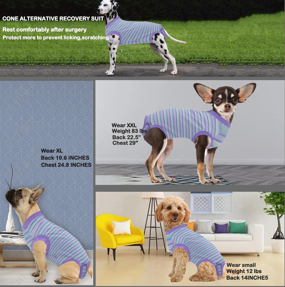 Recovery Suit for Female Dogs, Dog Cone Alternative After Spay