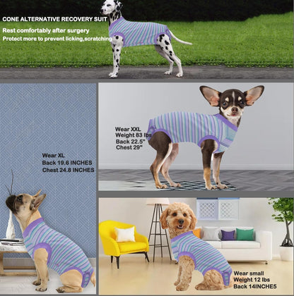 Recovery Suit for Female Dogs, Dog Cone Alternative After Spay