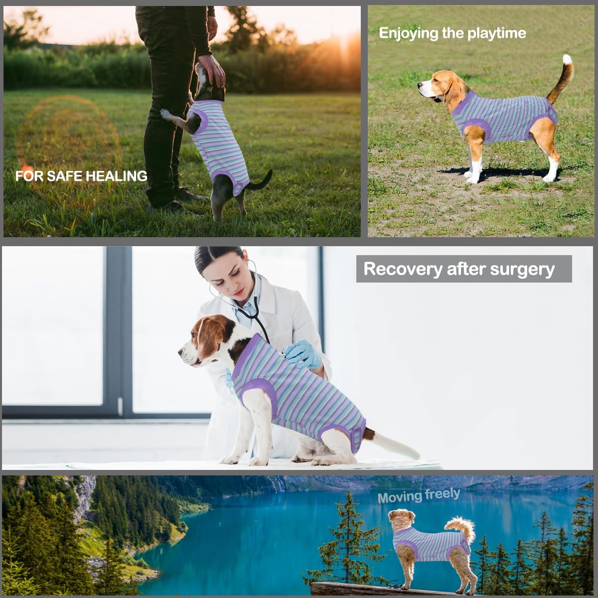 Recovery Suit for Female Dogs, Dog Cone Alternative After Spay